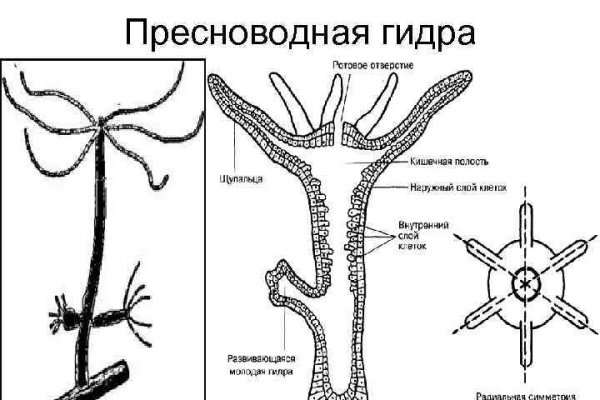 Кракен сайт бошки