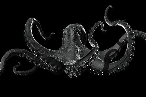 Kraken актуальное